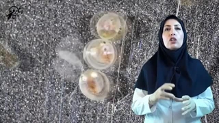 آموزش علوم و آزمایشگاه سوم دبستان