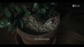 تولید محتوا در اینستاگرام