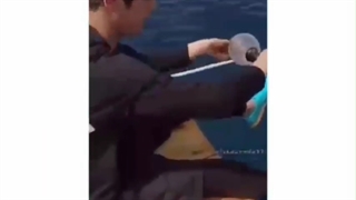 طنز بی تی اس|کلیپ کیوت جین