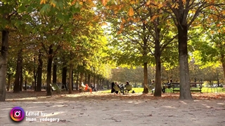 پاییز زیبا (کلیپ طبیعت پاییزی)