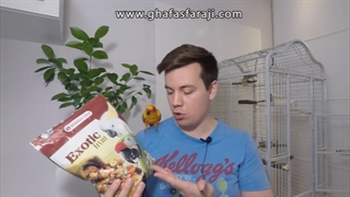 میکس دانه یا همان دان مخلوط طوطی سانان