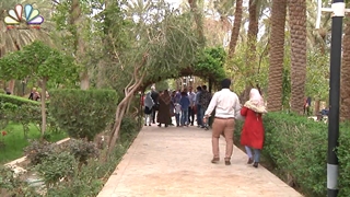 نماهنگ (گل بهاری )