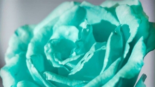 زیرنویس فارسی اهنگ (Monster/هیولا)