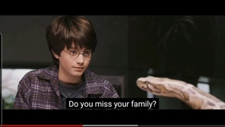 Harry potter(with subtitles)