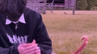 بعد نزدیک دو سال اومدم و دیدم هنوز دو نفر اینجا هستن که منو یادشونه