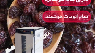 خشک کن کشمش/خشک کن انگور/خشک کن میوه۰۹۱۹۷۵۸۶۷۳۴