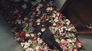 موزیک ویدیو I need you ورژن ژاپنی از bts