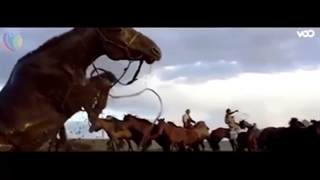 کانال سازی در کرج | ۰۹۱۲۵۲۵۲۳۵۳ | کانال سازی اندیشه ملارد شهریار فردیس شهرک بنفشه خادم اباد ساوه