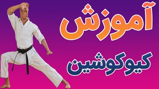 فیلم آموزش کامل فنون کیوکوشین