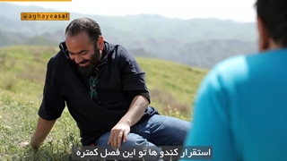 هزار درّه