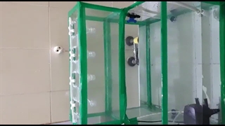 سیستم آبیاری هیبروپونیک هوشمند خانگی