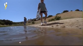 مستند زندگی زالو در طبیعت