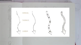 ✅ آموزش طراحی ستون فقرات انسان