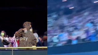 ریکشن تهکوک به پرچم رنگین کمونی در کنسرت هری پارت 19