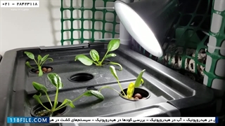 دوره آموزش کشت هیدروپونیک-آموزش آنلاین کشت هیدرو پونیک-درمان زرد شدن برگ ها