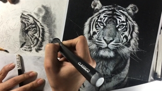 طراحی کنته حیوانات قسمت پنجم. افروزسعیدیان