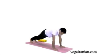 آموزش ورزش یوگا