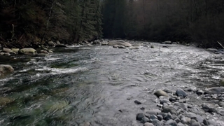 تریلر سریال Riverdale