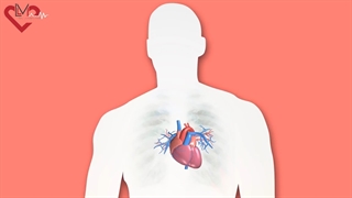 استرس و تاثیرش بر فشار خون