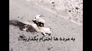 چالش پدرت