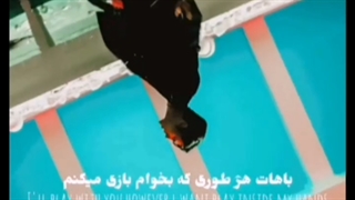 عاشق این اهنگشونم