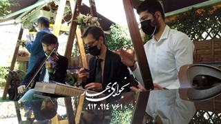 موزیک زنده  خواننده  صیغه  ازدواج  تشریفات عروسی  موسیقی