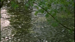 بریده ای از رخشاره هَرباسپ آبی با جستار زیبایی های آوا و سیمای زاستار ساخته فرانکو پیاولی