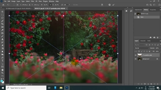 بک گراند لایه باز