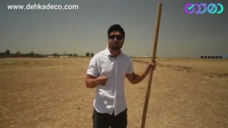 از بین بردن موش مزارع زعفران