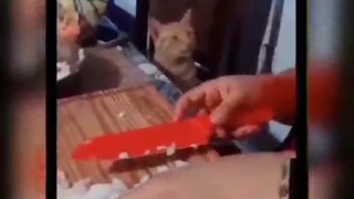 اوخیییییی نازی نازی