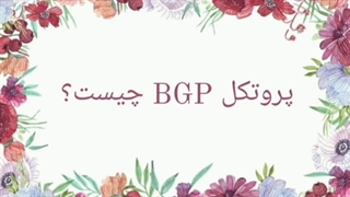 ۲پروتکل شبکه