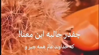 چقدر جالبه این معنا ....تا آخر ببینید ^-^