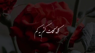 خیال میکردم عاشقت نمیشم:)