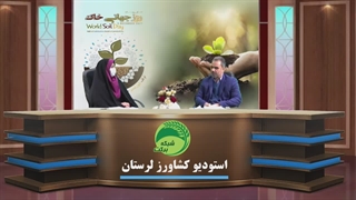 روز جهانی خاک