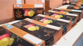 تولید با کیفیت ترین تنباکو در دنیا - کارخانه قلمرو دانش ایرانیان