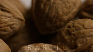 فروشگاه اینترنتی آجیل و خشکبار بارجیل