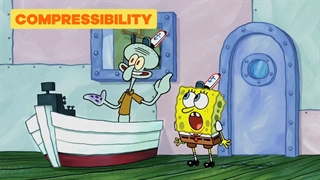 انیمیشن باب اسفنجی کارتون باب اسفنجی باب اسفنجی جدید