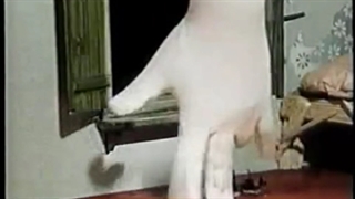 انیمیشن کوتاه دست ها (The hands) Ruka