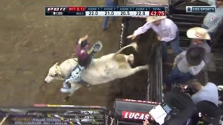 مسابقات سوار شدن بر گاو نر وحشی سال 2019