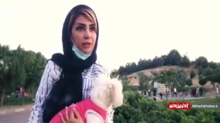 هزینه های عجیب نگهداری سگ های خانگی