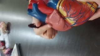 عملی قلب و عروق 2. پزشکی