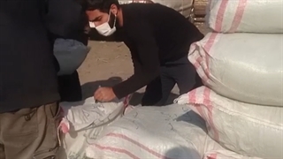 ارسال سیاه دانه سورت لیزر شده ممتاز به مقصد تهران