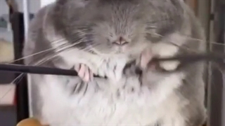 من وقتی صبح ها ورزش میکنم