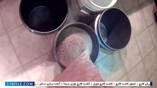 تولید قارچ در منزل