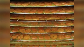 میوه خشک کن صنعتی آراد ماشین