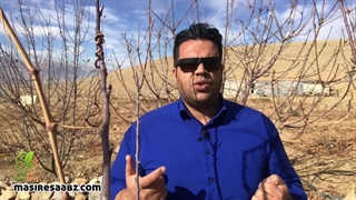 تربیت جنسی کودکان | آنچه والدین باید بدانند