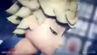 آهنگ آدرین آگراست گربه سیاه