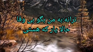 ترانه:به من بگو بی وفا حالا یار که هستی