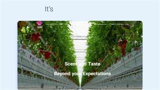 تا حالا به سایت آتاویتا سر زدید؟