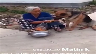 رفتار زیبای این سگ رو تا آخر ببینید